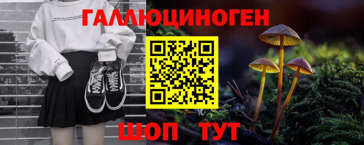 магазин    Вход с VPN  Кашира  Галлюциногенные грибы прущие грибы  Галлюциногенные грибы GOLDEN TEACHER 