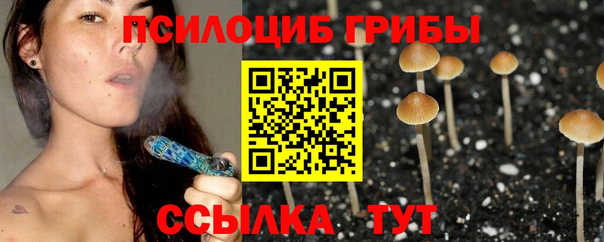 Галлюциногенные грибы Cubensis Кашира